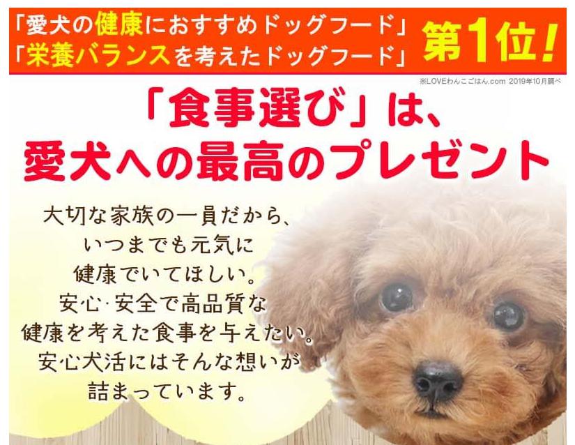 安心犬活はグルテンフリーの国産無添加ドッグフードで高い 口コミは インタレスト ウォッチ