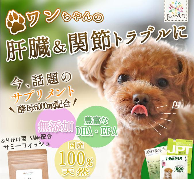 サミーフィッシュは犬の肝臓や腎臓に効果のあるサプリ 口コミは インタレスト ウォッチ