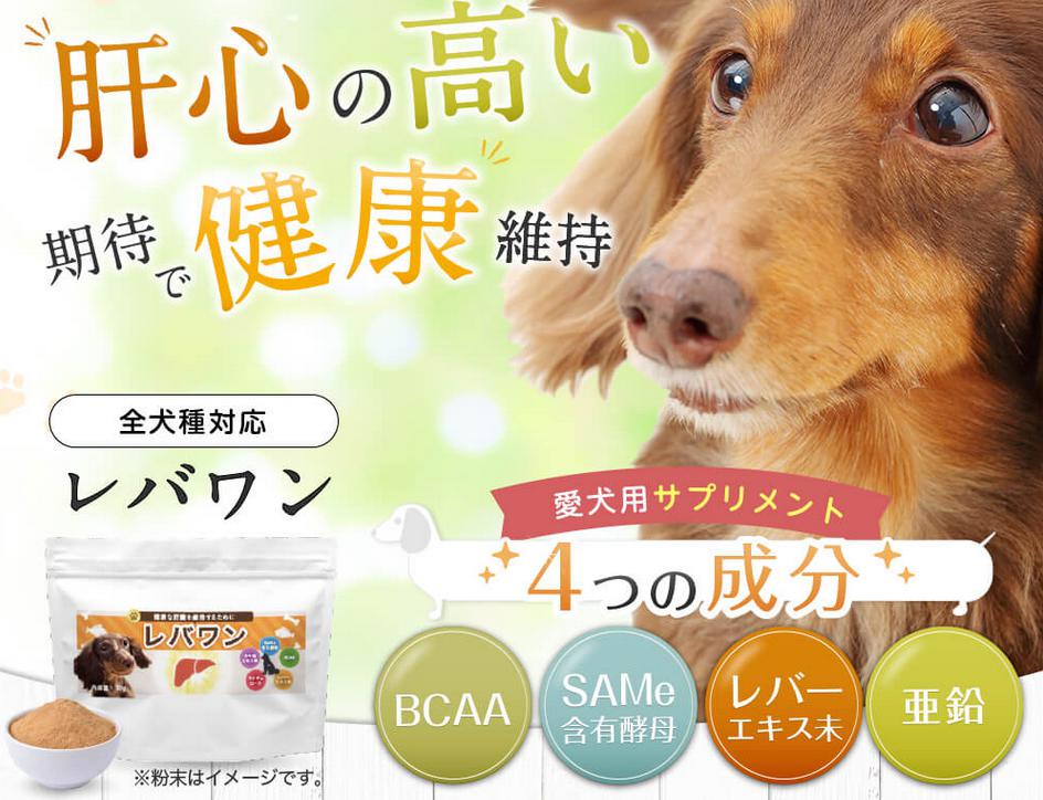 レバワンは犬の肝臓に役立つドッグフード 効果は 口コミや評判は インタレスト ウォッチ