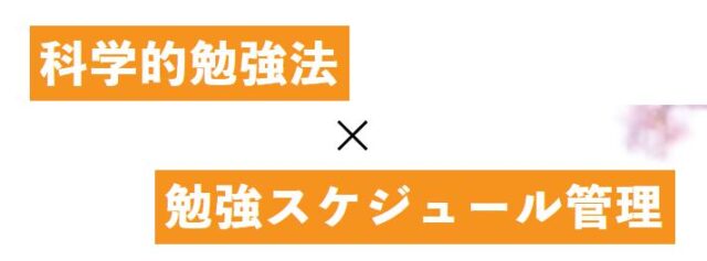 O-juku オージュク オンライン家庭教師 特徴