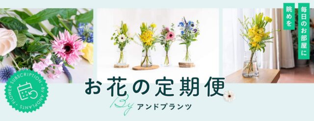 AND PLANTS アンドプランツ お花の定期便