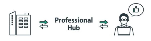 プロフェッショナルハブ Professional Hub 特徴