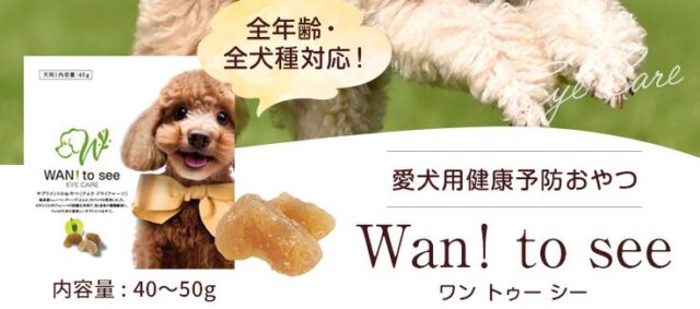 Wan！To see ワントゥーシー 特徴