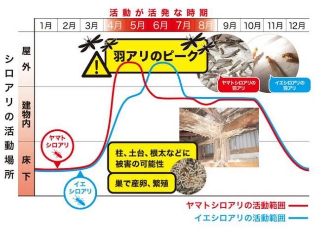 アサンテ シロアリ駆除 特徴